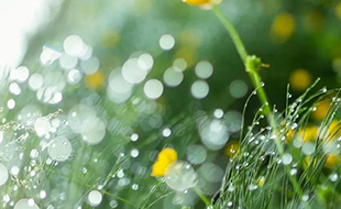 藏在二十四节气里的食与味 - 雨水之超模