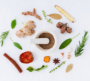 释放植物力量，实现植物功能成分风味优化及多维度功能覆盖